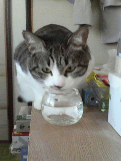 その水は・・・