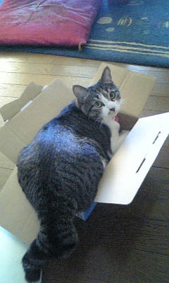 いくらなんでも・・・