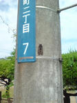 20090815091304.jpg