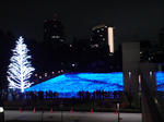 20091122195307.jpg