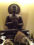 20091129172620-1.jpg