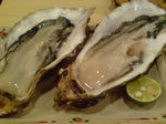 20091205221549.jpg