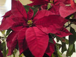 20091202204549.jpg