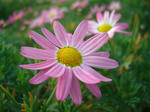 CIMG0039.JPG