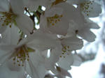 CIMG0004.JPG