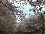 CIMG0015.JPG