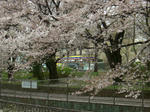 CIMG0016.JPG