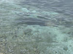 846b2651.JPG