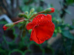 b04bad82.JPG