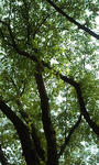 L04A0032.JPG