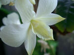 CIMG0046.JPG