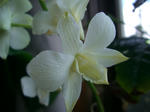 CIMG0048.JPG