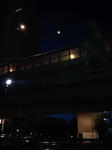 L04A0023.JPG