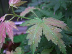 CIMG0011.JPG