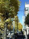 L04A0098.JPG