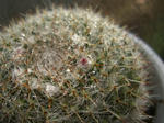 d72699d9.JPG