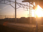 CIMG0079.JPG