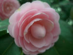 6e95269f.JPG