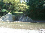 0ec020d4.JPG
