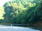 CIMG0038.JPG