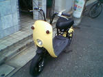 P1000009.JPG