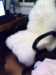 080605_2125~0001.jpg