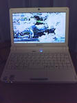 SA290073.jpg