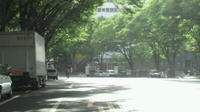 shinjuku_park.JPG