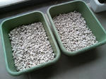 20090405152440.jpg
