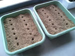 20090405153108.jpg