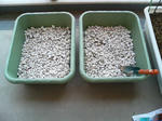 20090429135938.jpg