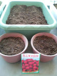 20090429141905.jpg