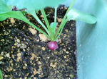 20090506144114.jpg