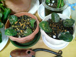 20090508233203.jpg