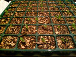 20090512222902.jpg