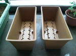 20090530135808.jpg