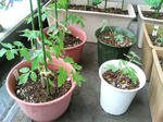 20090530142534.jpg