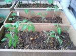 20090530142457.jpg