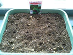20090531170930.jpg