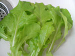 20090613115708.jpg