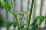 DSC_0992-edited.jpg