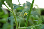 DSC_0999-edited.jpg