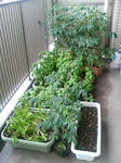 20090703070139-edited.jpg