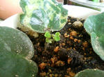20090704094852.jpg