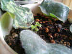 20090704094933.jpg