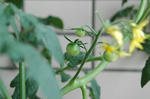 DSC_1017-edited.jpg