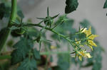 DSC_1019-edited.jpg