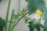 DSC_1025-edited.jpg