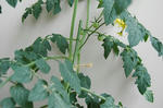 DSC_1026-edited.jpg