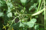 DSC_1059-edited.jpg